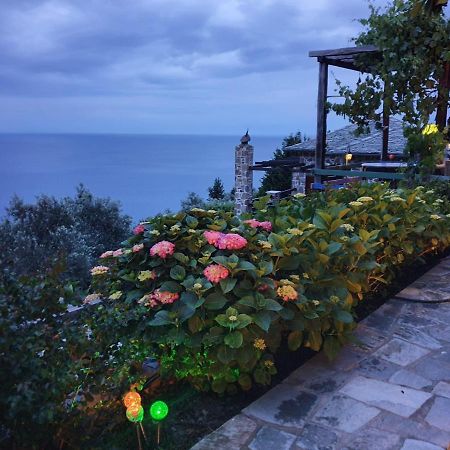 Analipsi Sea View Hommes Villa Zagorá Kültér fotó