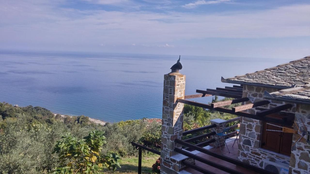 Analipsi Sea View Hommes Villa Zagorá Kültér fotó