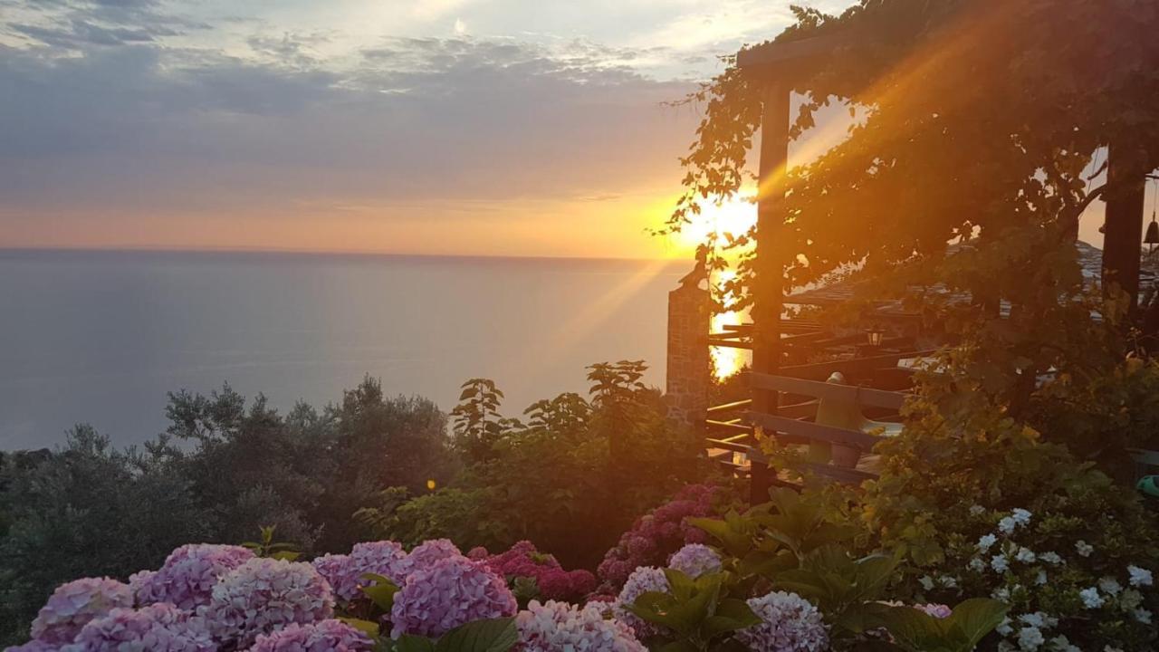 Analipsi Sea View Hommes Villa Zagorá Kültér fotó