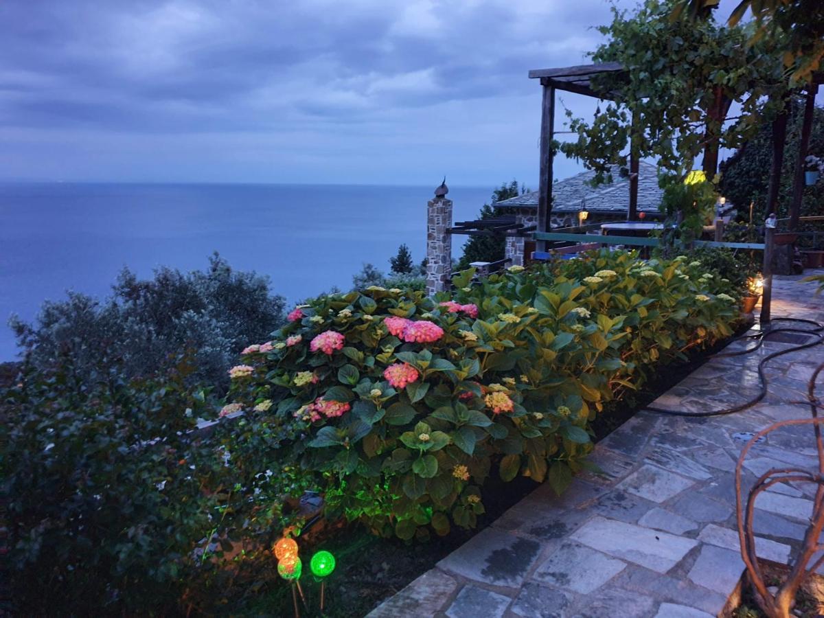 Analipsi Sea View Hommes Villa Zagorá Kültér fotó